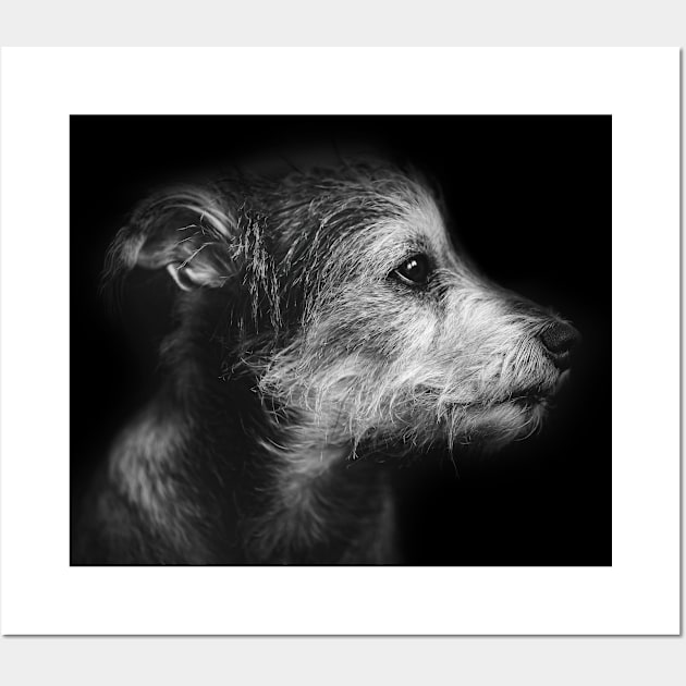 dog, terrier, black and white - roger Wall Art by hottehue